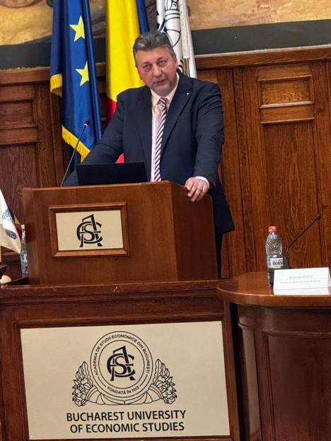 Daniel Traian Pele, Bucharest University of Economic Studies
